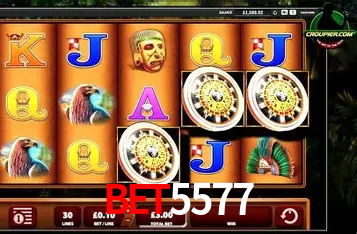 Descubra o Mundo do Cassino Online com bet5577